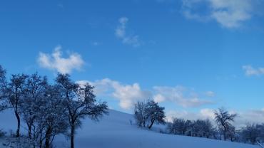 Fot. Dominika Krlczyk 41