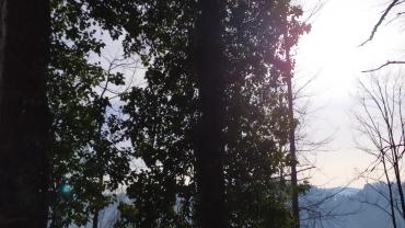 Fot. Dominika Krlczyk 4