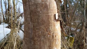 Fot. Dominika Krlczyk 5