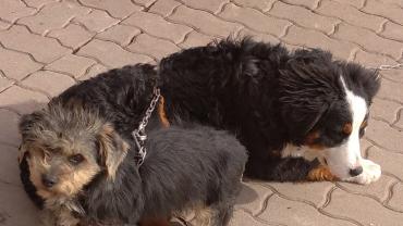 Fot. Karolina Dudek 2