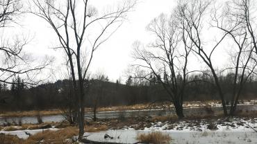 Fot. Karolina Szota 4