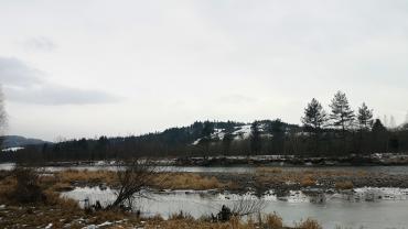 Fot. Karolina Szota 5