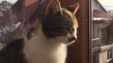 Fot. Magda Majewska 3