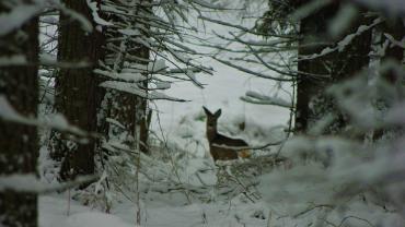 Fot. Micha Majewski 2