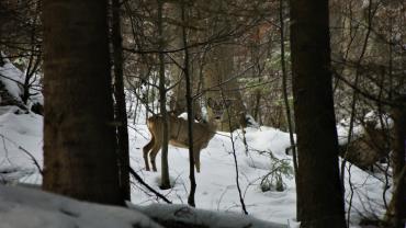 Fot. Micha Majewski 3