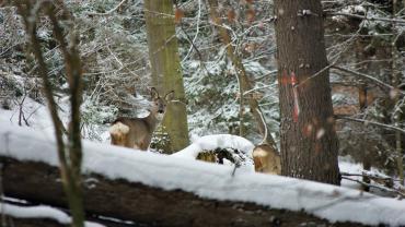 Fot. Micha Majewski 4