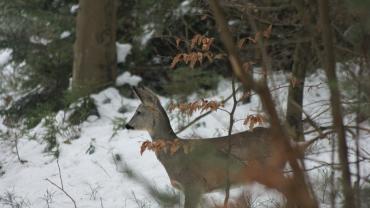 Fot. Micha Majewski 6