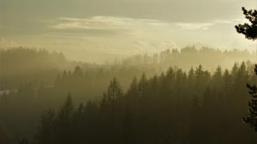 Fot. Micha Majewski 7