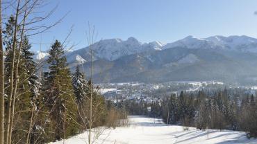 Fot. Rafa Krzyszkowski 11