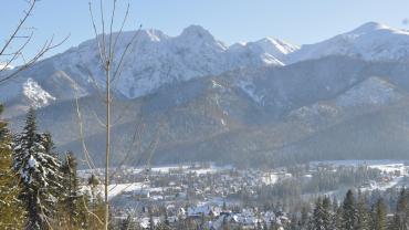 Fot. Rafa Krzyszkowski 14