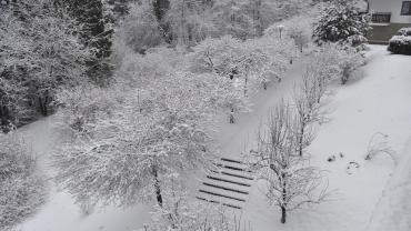 Fot. Rafa Krzyszkowski 4