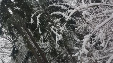 Fot. Roksana Godyn 2