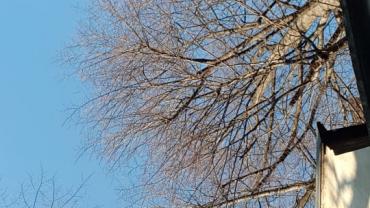 Fot. Roksana Godyn 3