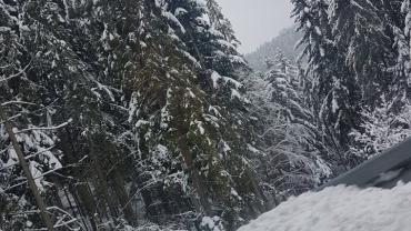 Fot. Roksana Godyn 5