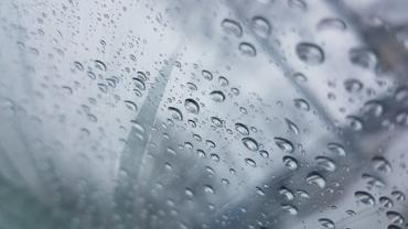 Fot. Roksana Godyn 6