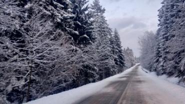 Fot.rafa Krzyszkowski