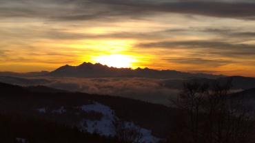 For. Tomasz Czyzycki 3