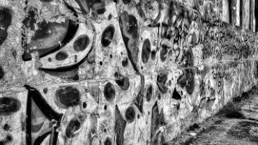 90920440 837071703425469 5765186549050245120 N