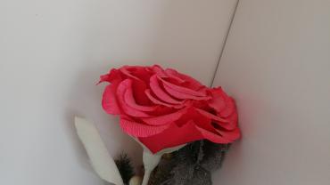 Fot. Gabrysia Cison 2