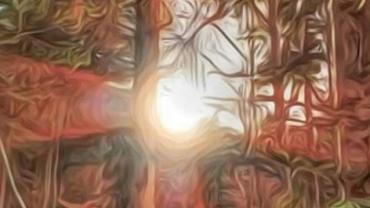 91679234 3143352795688854 599719499154849792 N