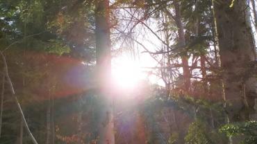 91915725 666026364216101 6686568393954295808 N 2