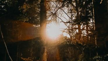 91915725 666026364216101 6686568393954295808 N