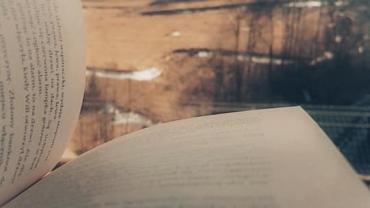 91983645 209208160381534 5590216612272668672 N