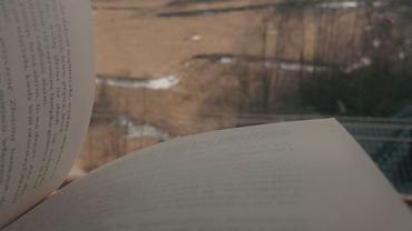 92099462 208723450430005 9155116442356547584 O