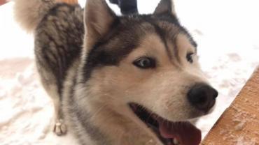 91812863 975909159529982 6785971804247687168 N