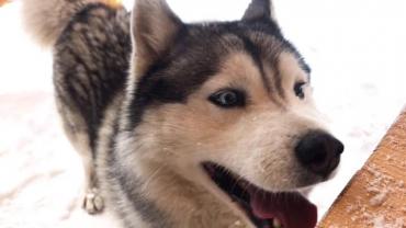 91969754 976279282826303 1312430624270712832 N