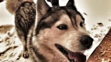 92136455 976641346123430 2872744684734644224 N