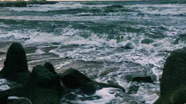 92438692 976641366123428 3567922602296999936 N