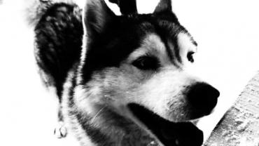 92600036 975933192860912 7185250900594655232 N