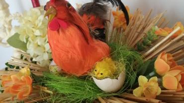 93118938 605469413372527 6482041093541068800 N 1