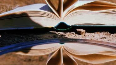 92696795 213486486620368 4697557889441595392 N