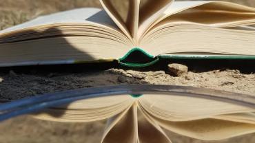 92718023 212962703339413 4388685170320867328 N