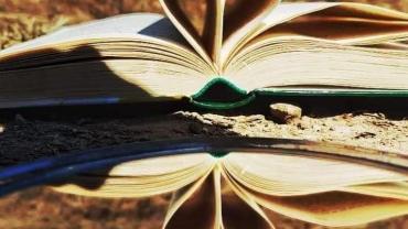 93218781 213769966592020 2174312178394333184 N