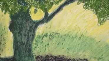 92849564 124470772529437 2305855387309441024 O