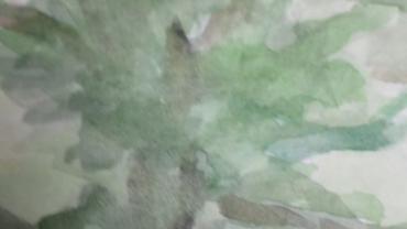 93392861 124472879195893 8493811626187685888 O