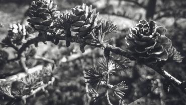 93665944 294859788169658 6880960529326669824 O