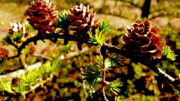 93950671 295502711438699 8287998953731915776 N