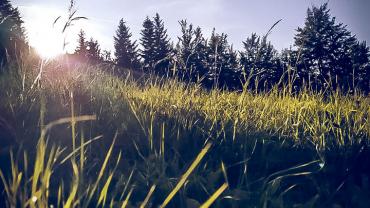 72740652 2439617599697479 6214171284733952000 N