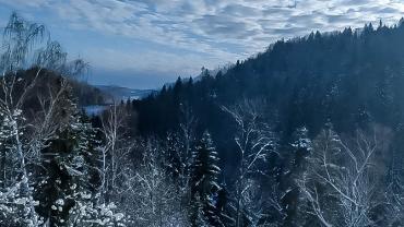 85049218 477021976307965 241719513878364160 N