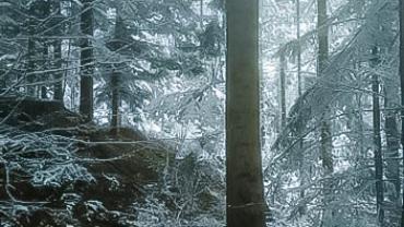 90490058 197326918349267 1081984102464225280 N