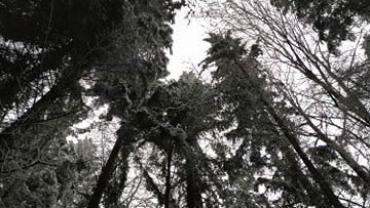 90557352 586090998784109 418811559637155840 N