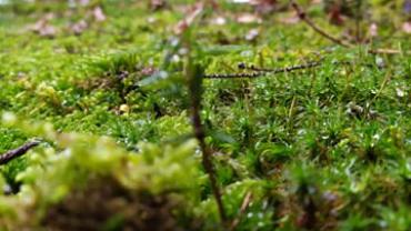 90676268 229883788396996 5830028383282528256 N