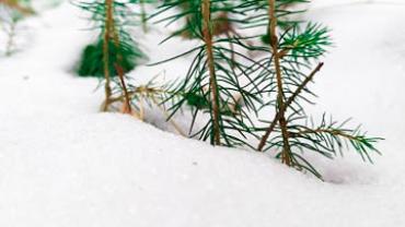 90959772 240422437138471 6459579325116055552 N