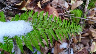 91235225 1615253695302470 2382576675880697856 N