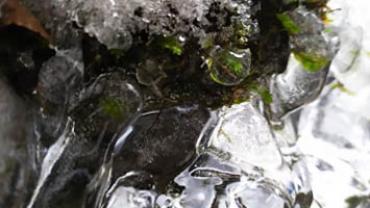 91276497 620008798552998 2229614327621484544 N