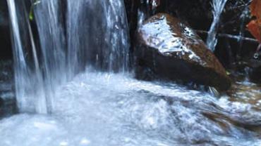 91277920 2695935640636536 6729182544069132288 N